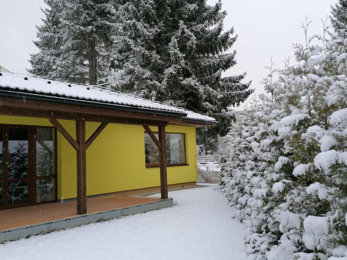 Willa Sunny House Lipno nad Vltavou Zewnętrze zdjęcie