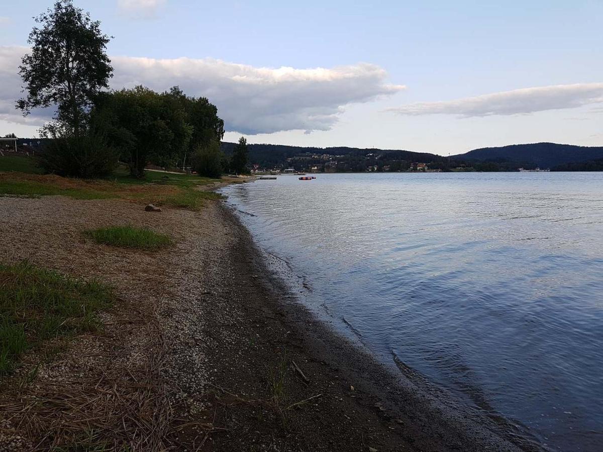 Willa Sunny House Lipno nad Vltavou Zewnętrze zdjęcie