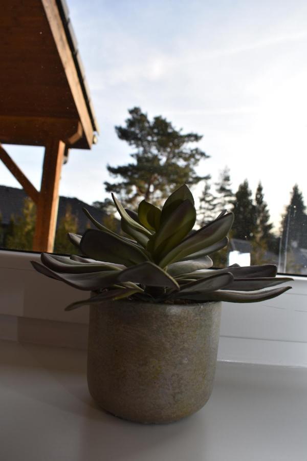 Willa Sunny House Lipno nad Vltavou Zewnętrze zdjęcie